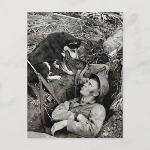 Hund Watching Soldier i Foxhole Vykort