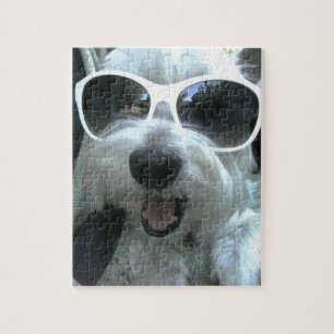 Hund Wear Sunglass Pussel