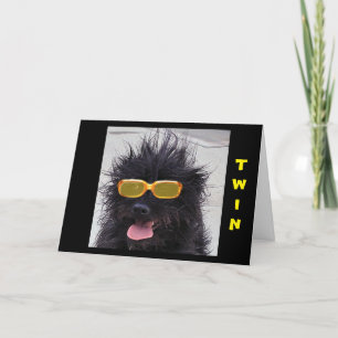 HUND WEARCOOLA SUNGLASSES GRATTIS PÅ FÖDELSEDAGEN KORT