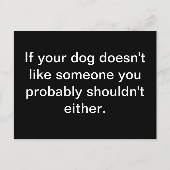 Hund Wisdom - vykort (Framsida)