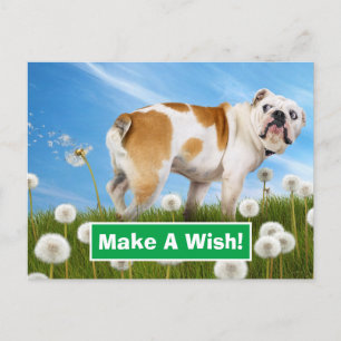 Hund with Dandelion Inbjudan Vykort