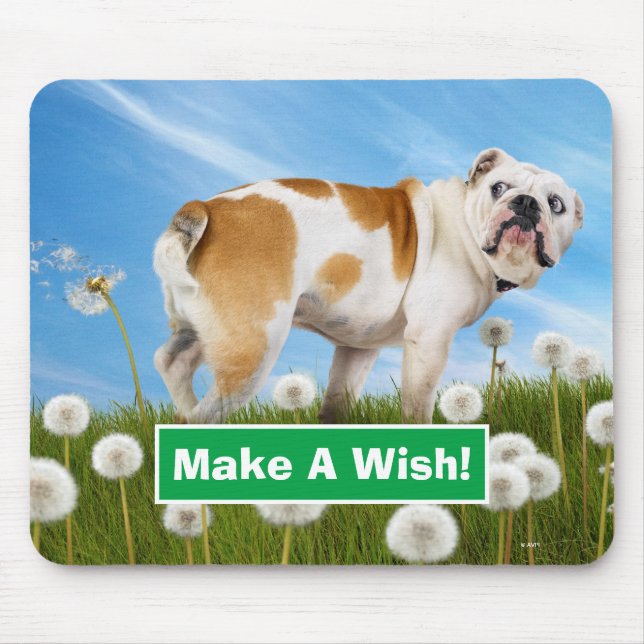 Hund with Dandelion Musmatta (Framsidan)