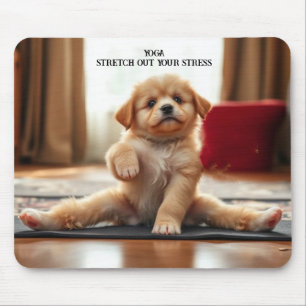 Hund Yoga Musmatta
