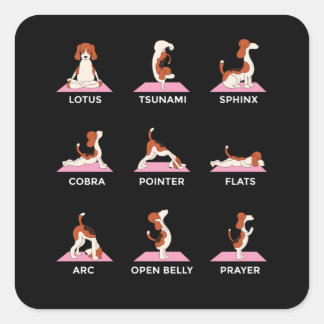 Hund Yoga Poses Funny Gift Fyrkantigt Klistermärke