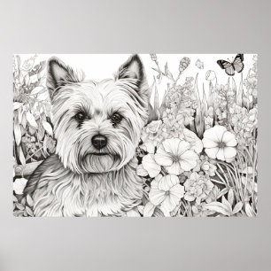 Hund Yorkshire Terrier Peacnice Nature Prairie Pet Poster