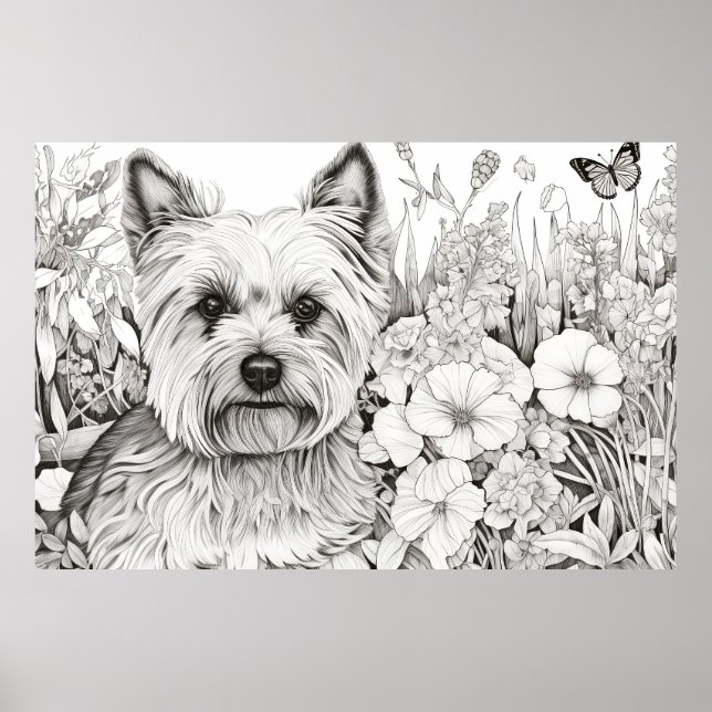 Hund Yorkshire Terrier Peacnice Nature Prairie Pet Poster (Framsidan)