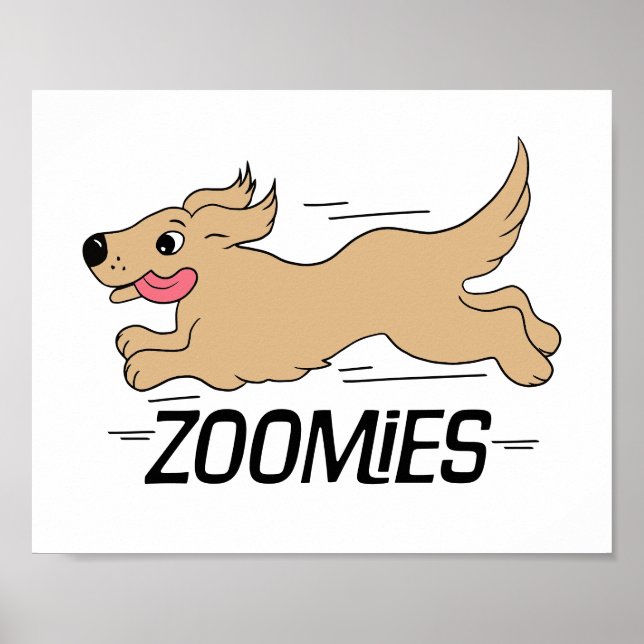 Hund Zoomies Poster (Framsidan)