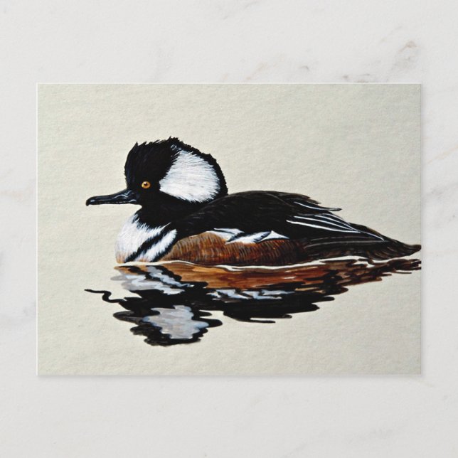 Hundad merganser vykort (Framsida)
