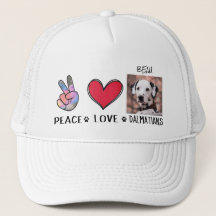 Hundälskare för fredliga Kärlek Dalmatier 