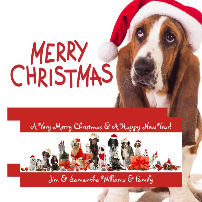 Hundälskare God jul-kort Julkort (Dog Lovers - Merry Christmas Card)
