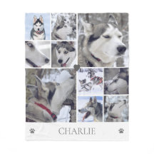 Hundälskare Husdjur Foto Collage