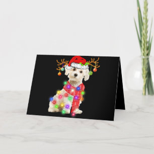 Hundälskare Malteser Julhatt Xmas Fairy Light Helgkort