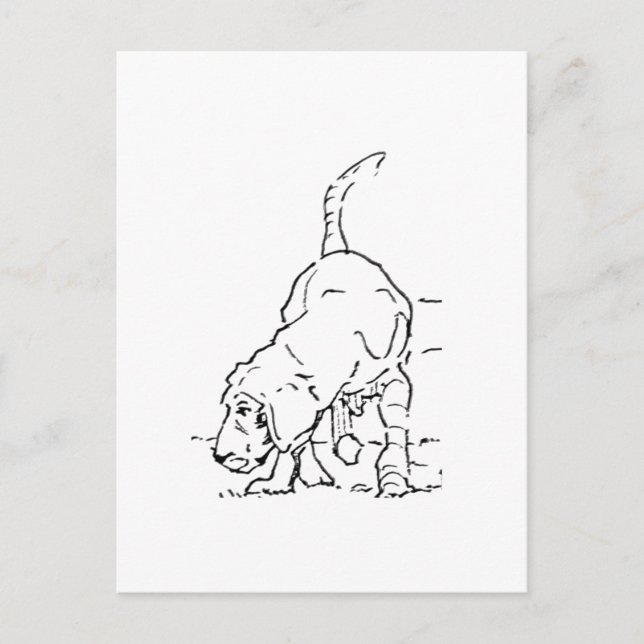 Hundälskareminne, Beagle-illustration Vykort (Framsida)