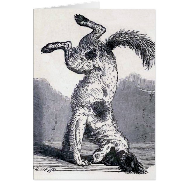 "Hundanseende på hans Head ", Hälsningskort (Framsidan)