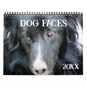 Hundansikten Och Uttryck Kalender