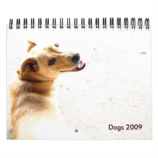 Hundar 2009 kalender (Omslag)