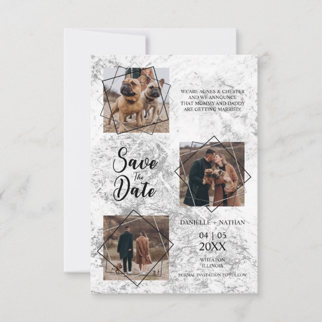 Hundar anger tre foton med ett par meddelanden (Framsida)