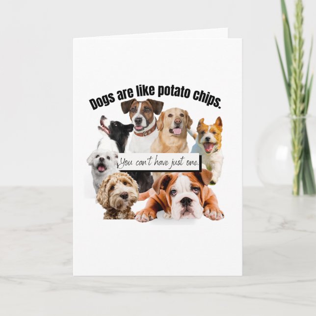hundar är som potatis chip, du kan inte bara ha kort (Framsida)