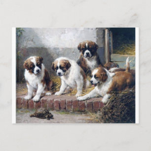 Hundar av den söta målarfärgen Bernard puppies Vykort