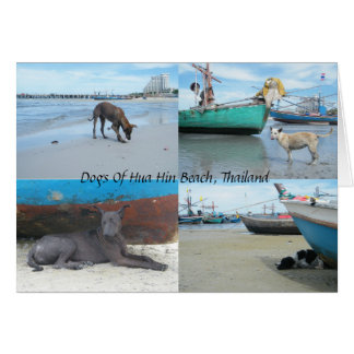 Hundar av Hua Hin Beach, Thailand Hälsningskort