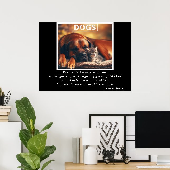 Hundar Best Friend Kitten Cuddles Poster (Hemmakontoret)