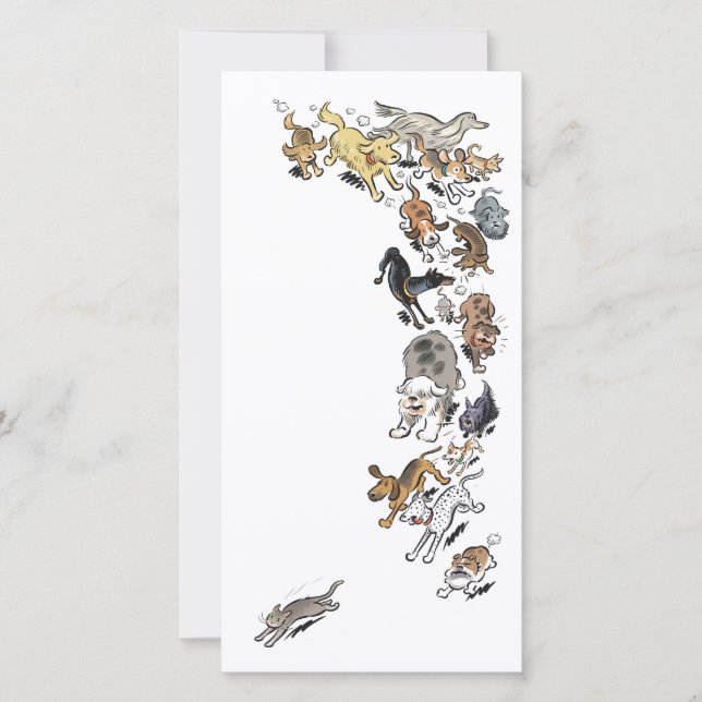 Hundar chassi Katt Tack Kort (Framsida)