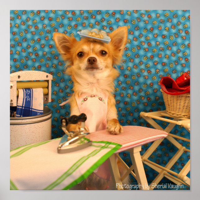 Hundar Do Järn Poster (Framsidan)