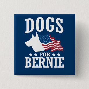 HUNDAR FOR BERNIE SANDERS KNAPP
