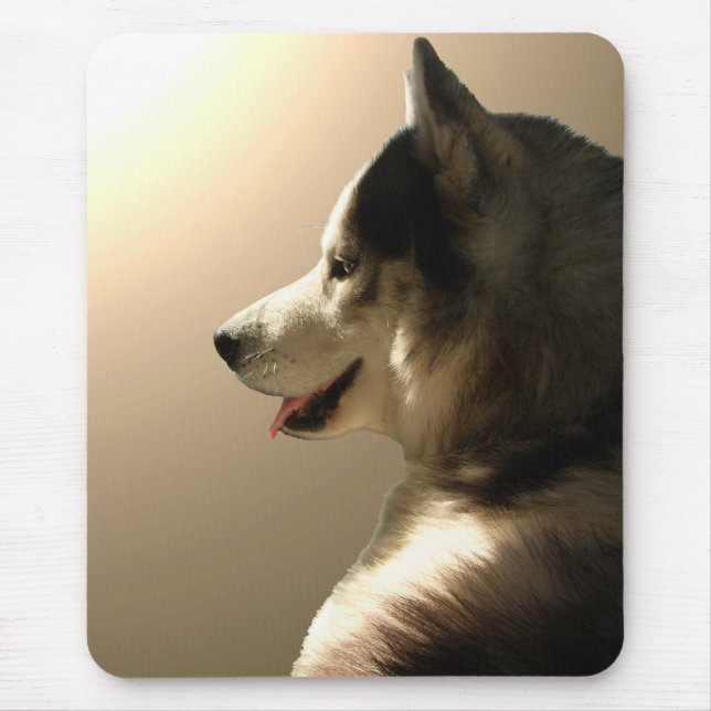 Hundar för Sled för Malamute för siberian Musmatta (Framsidan)