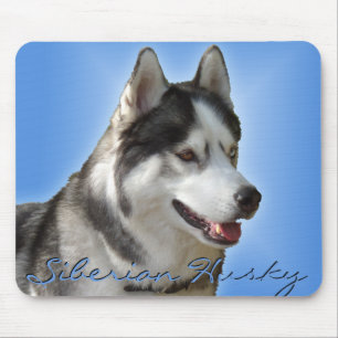 Hundar för Sled för Malamute för siberian Musmatta