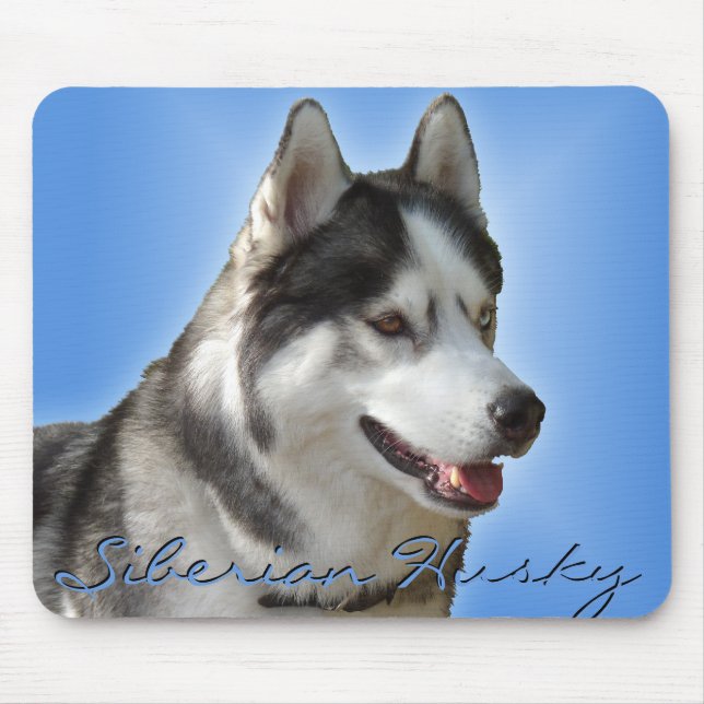 Hundar för Sled för Malamute för siberian Musmatta (Framsidan)