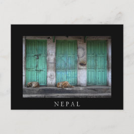 Hundar framför smutsiga gröna dörrar i Nepal Vykort