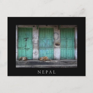Hundar framför smutsiga gröna dörrar i Nepal Vykort