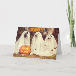HUNDAR GLAD HALLOWEEN KORT