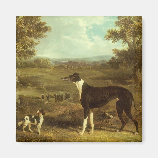 Hundar, Greyhound och Spaniel, Doktor Fop av Herri Magnet (Framsidan)