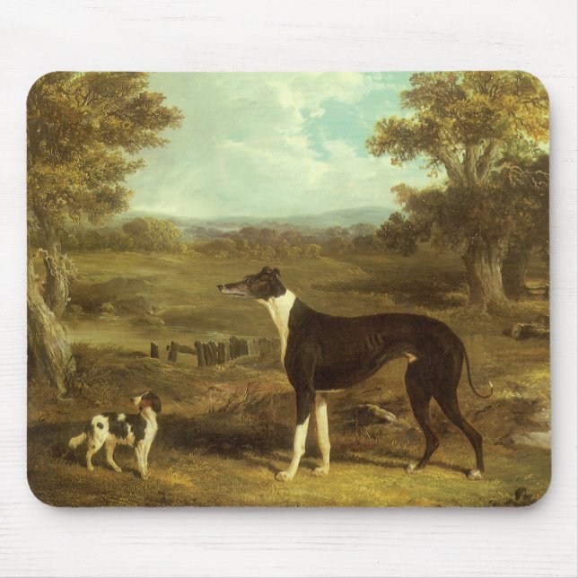 Hundar, Greyhound och Spaniel, Doktor Fop av Herri Musmatta (Framsidan)