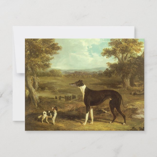 Hundar, Greyhound och Spaniel, Doktor Fop efter si (Framsida)