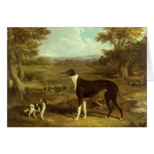 Hundar, Greyhound och Spaniel, Doktor Fop efter si Hälsningskort