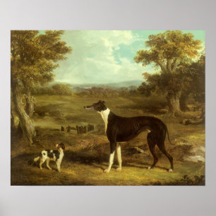 Hundar, Greyhound och Spaniel, Doktor Fop efter si Poster