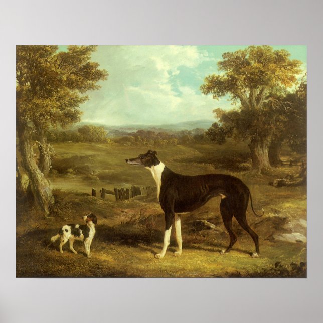 Hundar, Greyhound och Spaniel, Doktor Fop efter si Poster (Framsidan)