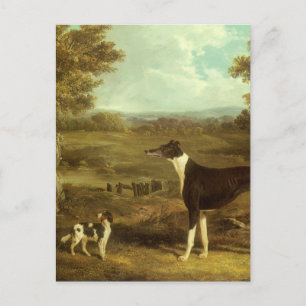 Hundar, Greyhound och Spaniel, Doktor Fop efter si Vykort