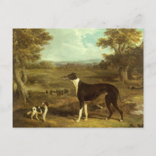 Hundar, Greyhound och Spaniel, Doktor Fop efter si Vykort