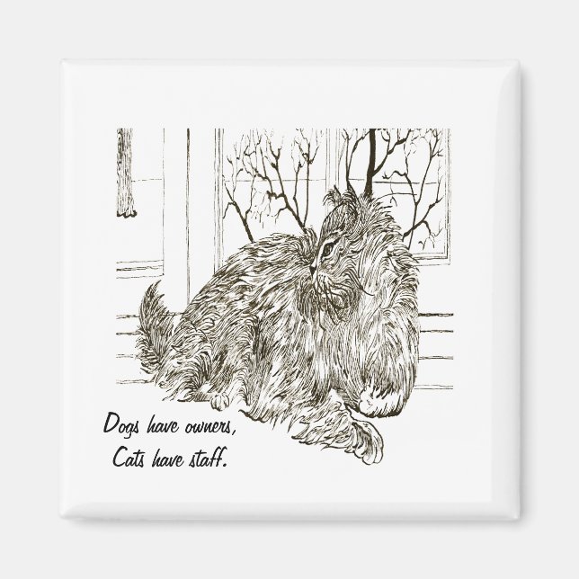 Hundar har ägare, katt har personal magnet (Framsidan)