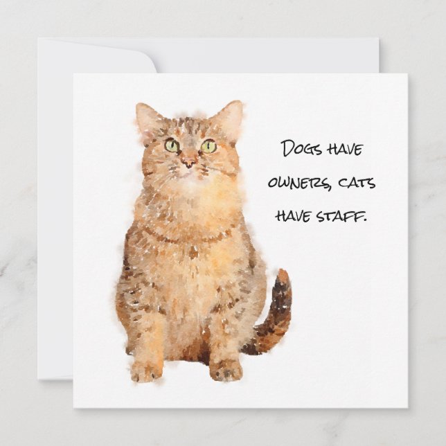 Hundar har ägare, katter har platta personkort (Framsida)