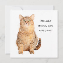 Hundar har ägare, katter har platta personkort