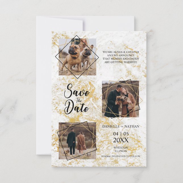 Hundar Husdjur Tre Bilder Engagerad  Falsk Guld Ef (Framsida)