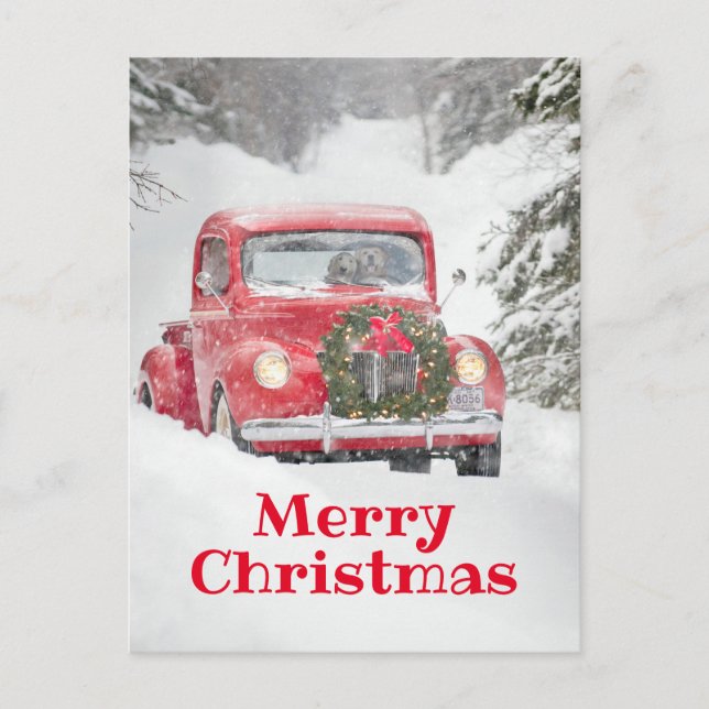 Hundar i en lastbil inbjudan vykort (Framsida)