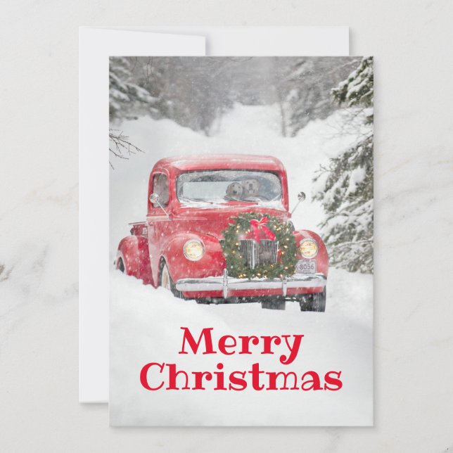 Hundar i en lastbil inbjudningar (Framsida)