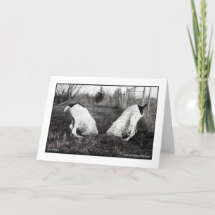 Hundar i ett hål kort