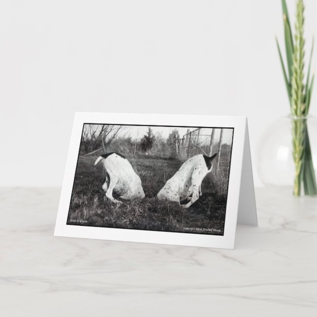 Hundar i ett hål kort (Framsida)